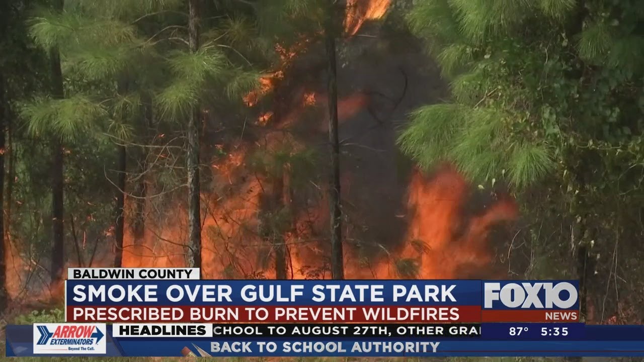 Gulf State Park conducts prescribed burn just weeks after wildfire ...