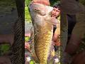 Wow! Amazing Polo Fishing Videos ! Best Big Fish Catching ! Primitive Technique fishing #fish