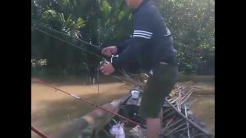 Chuyến câu cá dứa.ngat tiếp tục.