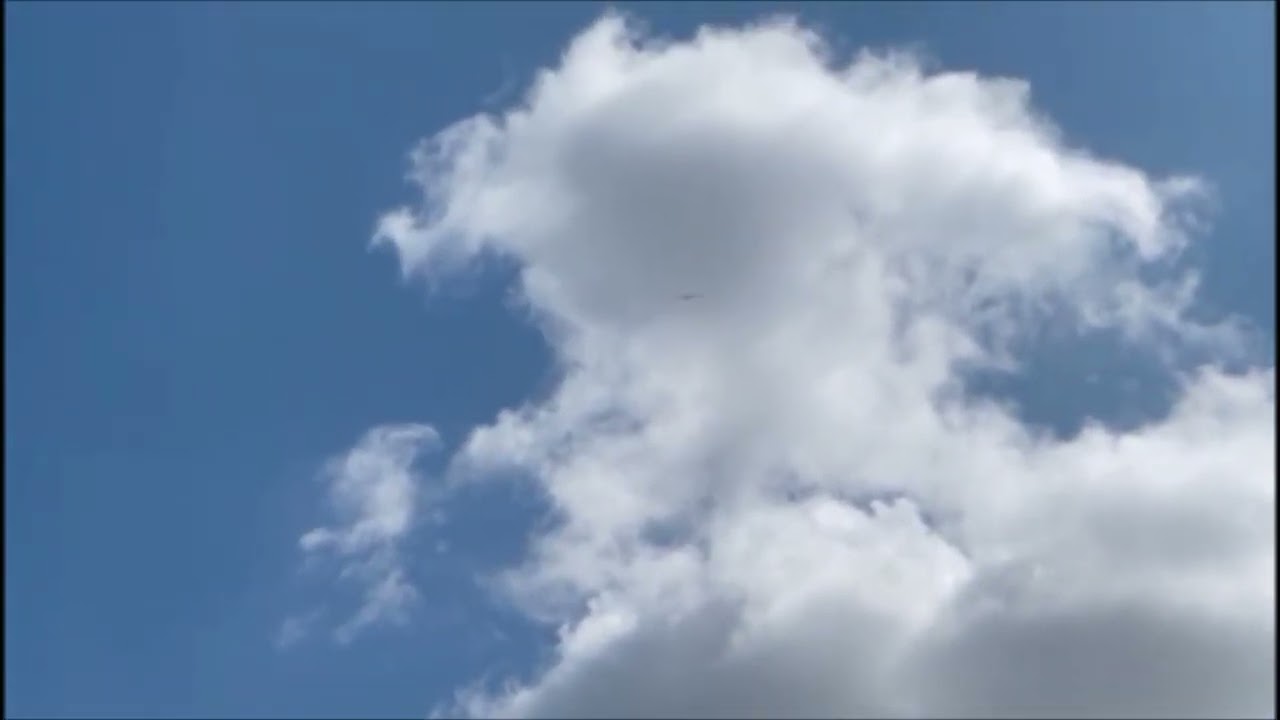 Turbinensegler Graecalis 3,68 Meter  Full Carbon