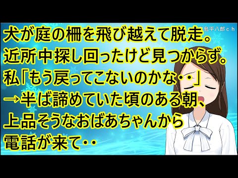 [Heartwarming Story] My dog jumped the fence and ran away. I searched everywhere but couldn't fin...