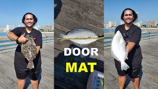 Myrtle Beach Pier Fishing w/ Best Bait? (2nd Ave. Pier)