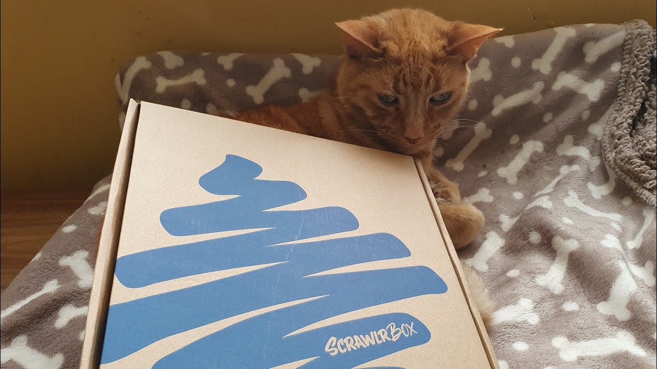 Scrawlrbox # 106. June 2024. Mystery Art Supplies Unboxing.