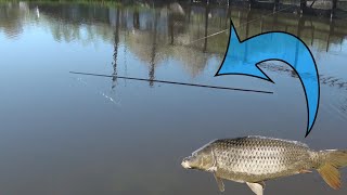 Карп Утащил Удочку 🎣