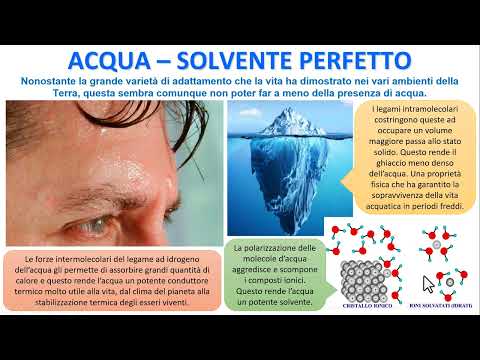 Video: L'acqua è essenziale per la vita?