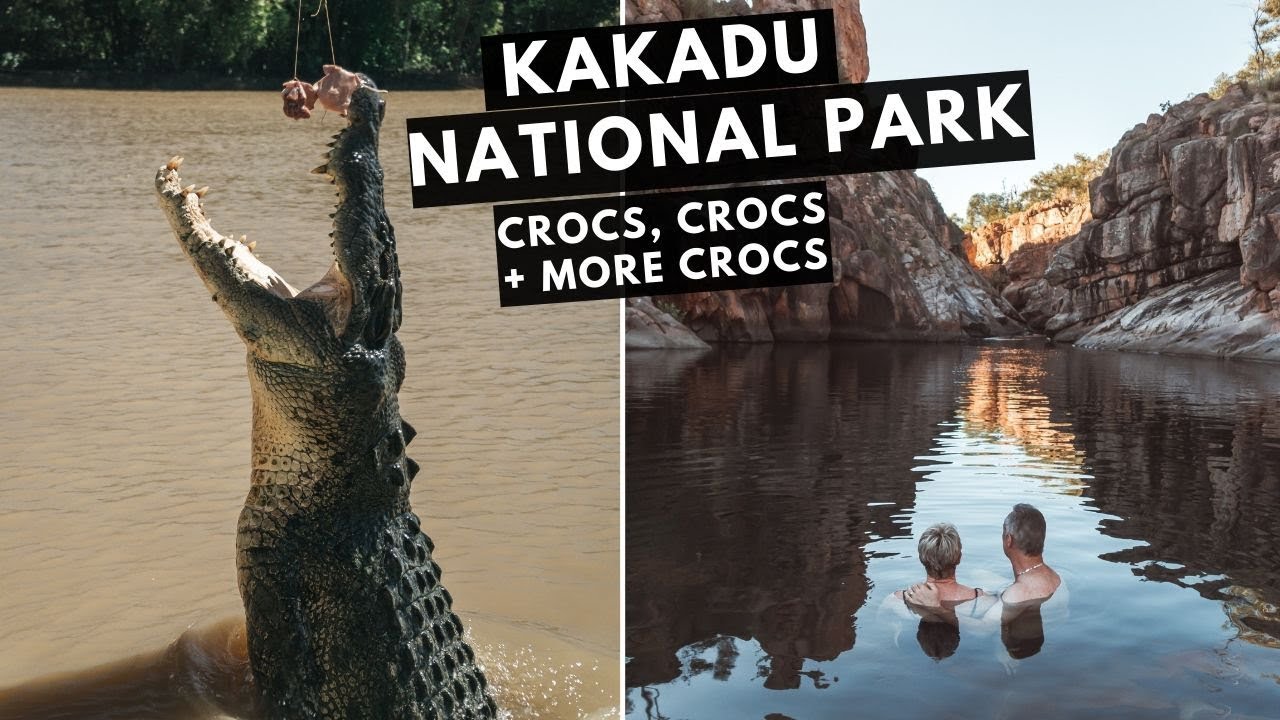 kakadu crocodile tours
