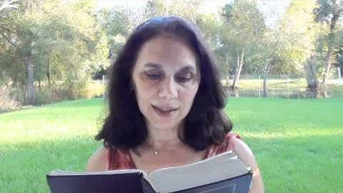 Workbook Lesson 305 from A Course in Miracles with Amy Torres