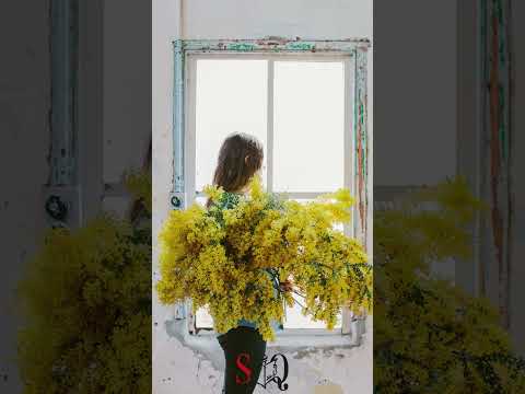 8 marzo Festa della Donna nel mondo