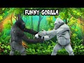 Funny Gorilla Comedy Video Gorilla Football Animated Cartoon 