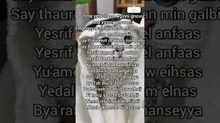 El Watar El Hassas Sherine Lyrics|#seo #fyp #fypシ゚viral #viralvideo #youtubeshorts #lyrics #song