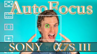 Sony A7S III Autofocus Guide and Test. All autofocus settings for the Sony A7S III explained