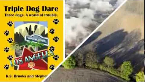 Triple Dog Dare Book Video Trailer