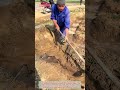Viral Farm Hack! Farmer Redirects Water Channel with Hoe – Easy Irrigation Trick