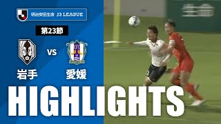 いわてグルージャ盛岡vs愛媛ＦＣ J3リーグ 第23節