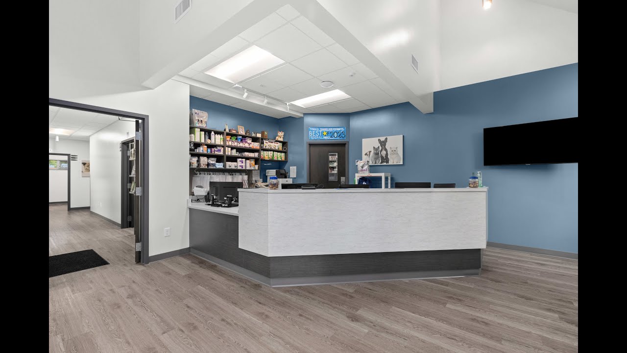 Twin lakes veterinary hospital commercial ti projects federal way