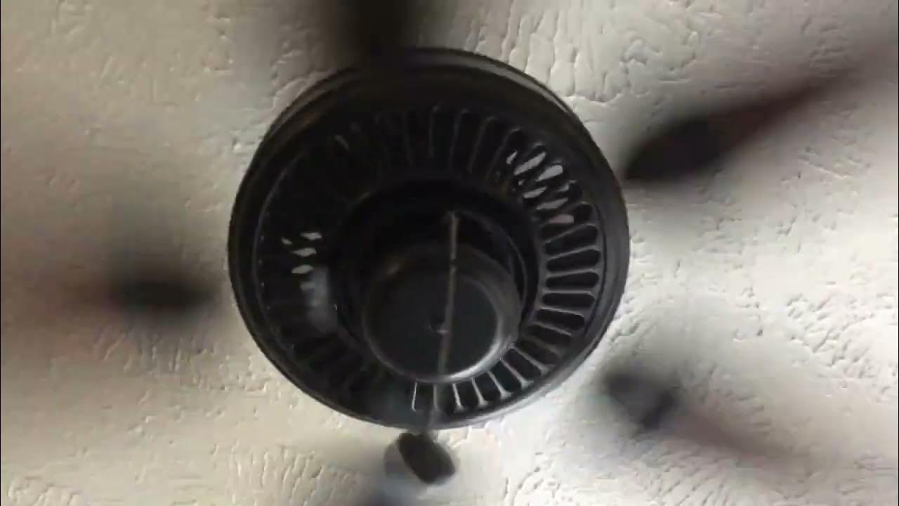 Noisy Ceiling Fan 14 YouTube