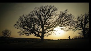 Download Lagu Love Like War - Geanice MP3 Download Lagu Love Like War - Geanice MP3