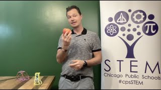 Pipe Cleaner Challenge
