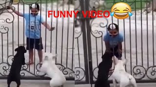 VIRAL VIDEO : Kid Funny Dance In Front Of Dogs | Kid Hilarious Fun | Cinema Hall |