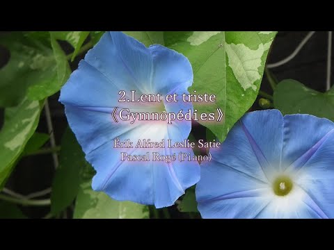 Putar ジムノペディ : Satie: Gymnopédie No. 2. Lent et triste - Pascal Rogé