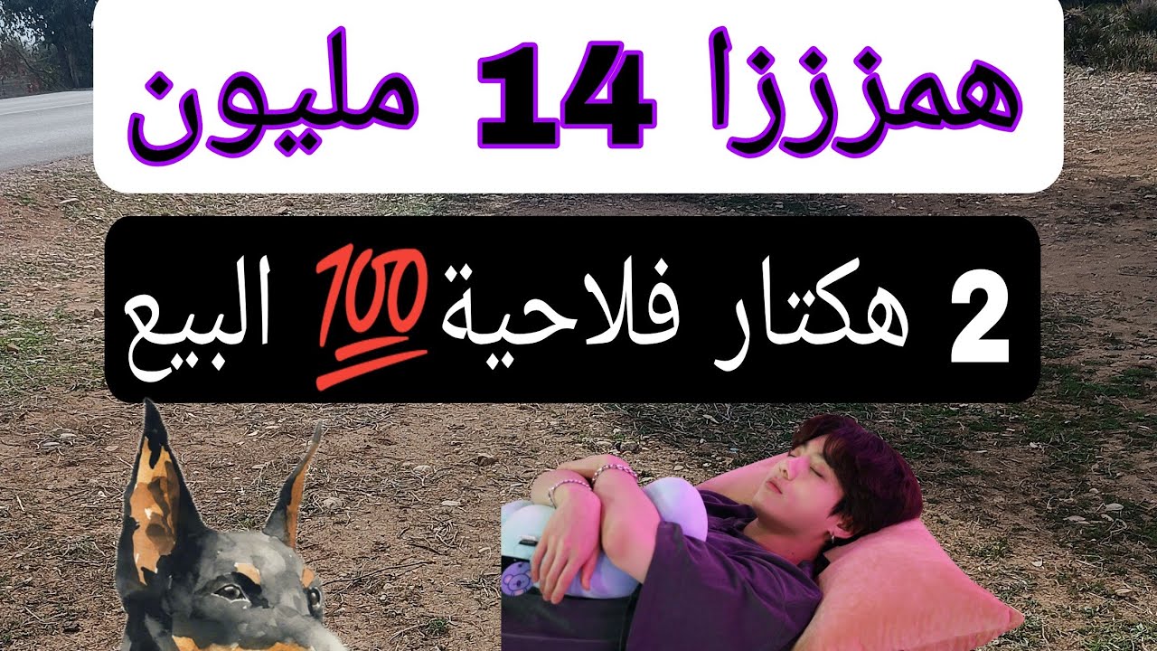 2 هكتار للبيع محافظه على طريق 14 مليون صالحة سكن 0679444657