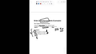 Famous Numerical vs Categorical Data Profile