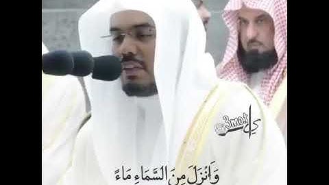 آيات من الذكر الحكيم🥀  القارئ/ياسر الدوسري سورة/إبراهيم