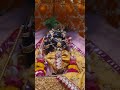 Radha Raman Comes Out These Days | Close Darshan