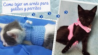 ARNÉS A CROCHET GATITOS Y PERRITOS