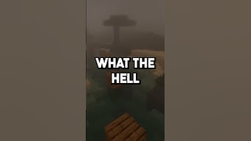 My wife forgot to delete her browser history. I can