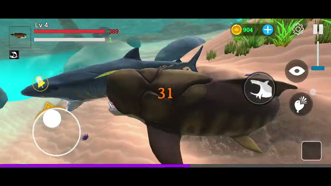 Chalenge ikan ikannan 