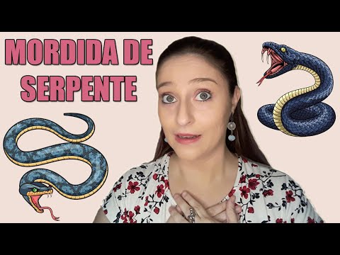 Vídeo: O Que Fazer Se Sua Cobra De Estimação Te Morder