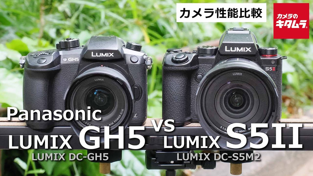 【カメラ比較】パナソニック LUMIX GH5 (DC-GH5)と LUMIX S5II  (DC-S5M2)の顔・瞳AF性能と手ブレ補正性能の違いを徹底検証（カメラのキタムラ動画_Panasonic）