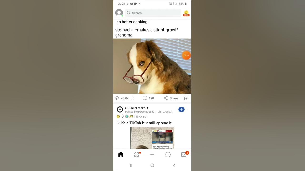 reddit no sound - YouTube