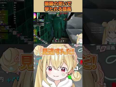 【めっちゃカメレオン】命乞いをするも、断腸の思いで打たれる団長とおこ【とおこ切り抜き】
