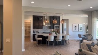 Ellsworth Ranch Telluride Luxury Model Home Tour | New Construction in Queen Creek | Taylor Morrison