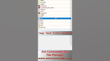 Copy Content of Text File Without Opening It on Windows #filemanager #clipboard