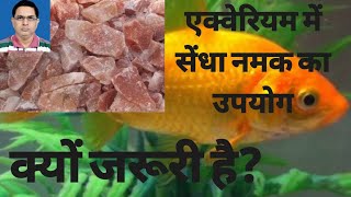 Why to Use of Rock Salt in Aquarium ।।सेंधा नमक का एक्वेरियम में उपयोग।।