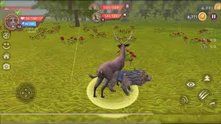 Leones alimentan a su cachorro para crecer WildCraft: Animal Sim Online 3D juego de animales screenshot 2