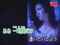 再会 カラオケ キム・ヨンジャ(自遊人)