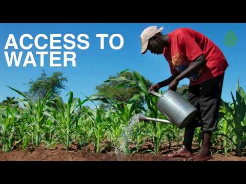 როგორ შეუძლია ბიზნესს გადაჭრას სოციალური პრობლემები | გირჩის თარგმანები