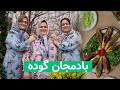 بادمجان گوده