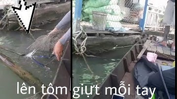 2 phút lên tôm càn xanh thần thánh - câu tôm ngoài bè ca 2019 (  Fishing Shrimp ) khang yoos m2m
