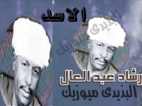 رشاد عبد العال ملى ادين البذيدى ميوزيك حفل المحاميد