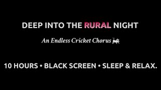 Deep Into the Rural Night in Indonesia, Endless Cricket Sounds | Black Screen White Noise for Sleep