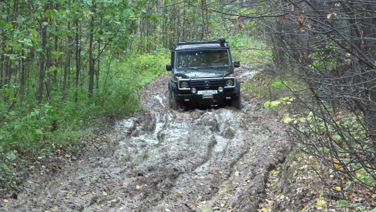 Дорога на волгу на рыбалку
