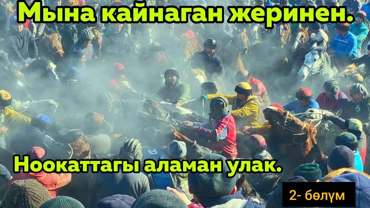 Кайнаган жеринен/ Ноокаттагы аламан улак/ Күнгөй Кожоке айылы.