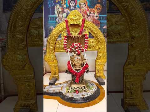 ఓం నమ శివాయ....🙏🙏🙏🙏🙏🙏🙏🙏 #sivaya 🔱🔱🔱🔱🔱🔱🕉🕉🕉🕉🕉 #bhakti