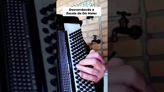 Descubra Os Segredos da Criação de Conteúdo Viral! #shorts