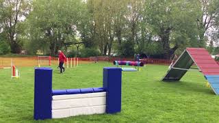 20180501 RIEULAY FABRICE LUNA Championnat Territorial - Agility 3